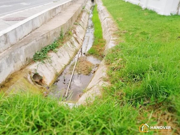 Step-by-Step Guide to Prevent Water Erosion in Your Yard