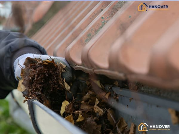 Why Landscapers Are the Best Solution for Drainage Issues